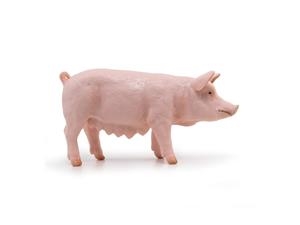 TRUJA PAPO | 3465000511883 | 51188 | Llibreria La Gralla | Llibreria online de Granollers