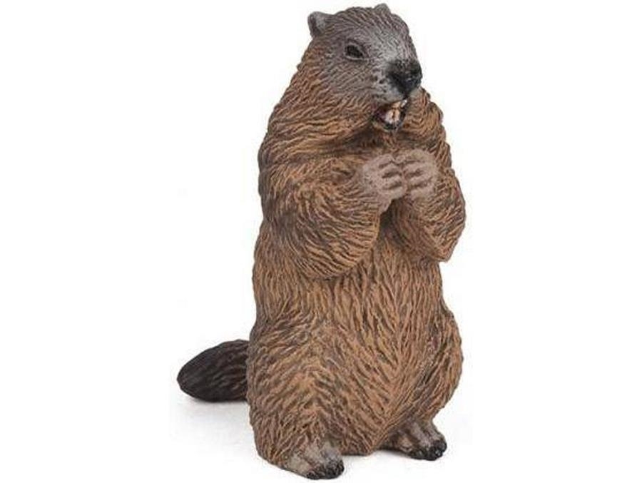 MARMOTA PAPO | 3465000501280 | 50128 | Llibreria La Gralla | Librería online de Granollers