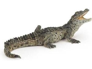 CRIA COCODRIL PAPO | 3465000501372 | 50137 | Llibreria La Gralla | Llibreria online de Granollers