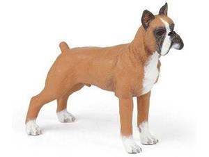 BOXER PAPO | 3465000540197 | 54019 | Llibreria La Gralla | Llibreria online de Granollers