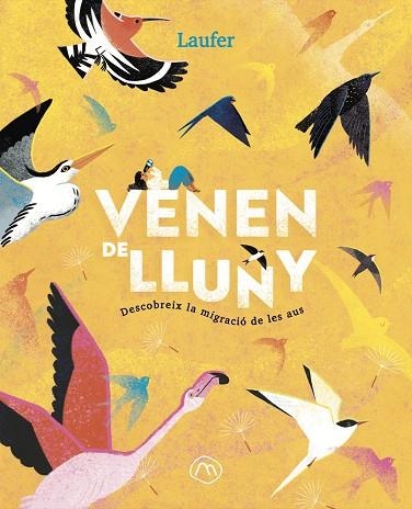 VENEN DE LLUNY | 9788482897349 | LAUFER (LAURA FERNÁNDEZ ARQUISOLA) | Llibreria La Gralla | Llibreria online de Granollers