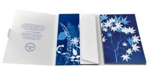 SET CARTES EXACLAIR CYANO | 3329680835076 | 83507C | Llibreria La Gralla | Librería online de Granollers