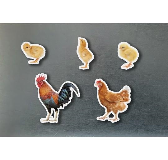 MAGNETICOS FAMILIAS GALLINAS | 0760412890964 | Llibreria La Gralla | Llibreria online de Granollers