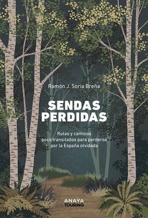 SENDAS PERDIDAS | 9788491588948 | SORIA BREÑA, RAMÓN J. | Llibreria La Gralla | Llibreria online de Granollers