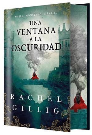 UNA VENTANA A LA OSCURIDAD (EDICIÓN ESPECIAL LIMITADA) | 9788410163850 | GILLIG, RACHEL | Llibreria La Gralla | Llibreria online de Granollers
