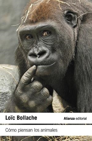 CÓMO PIENSAN LOS ANIMALES | 9788411489461 | BOLLACHE, LOÏC | Llibreria La Gralla | Librería online de Granollers