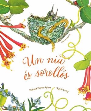 UN NIU ÉS SOROLLÓS | 9788418900303 | HUTTS ASTON, DIANNA | Llibreria La Gralla | Librería online de Granollers