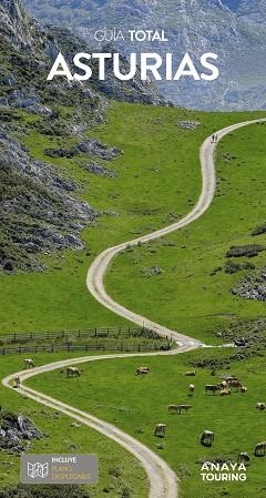ASTURIAS GUIA TOTAL 2025 | 9788491587095 | POMBO RODRÍGUEZ, ANTÓN | Llibreria La Gralla | Llibreria online de Granollers