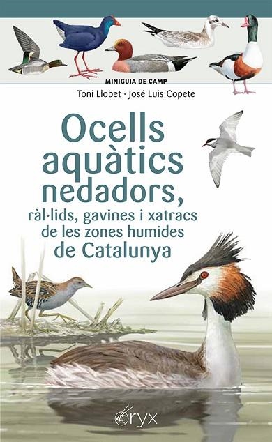 OCELLS AQUÀTICS NEDADORS, RÀL·LIDS, GAVINES I XATRACS DE LES ZONES HUMIDES DE CA | 9788413564883 | COPETE, JOSÉ LUIS | Llibreria La Gralla | Llibreria online de Granollers