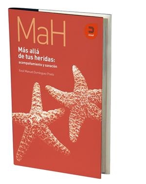 MÁS ALLÁ DE TUS HERIDAS | 9788415995333 | DOMÍNGUEZ PRIETO, XOSÉ MANUEL | Llibreria La Gralla | Llibreria online de Granollers