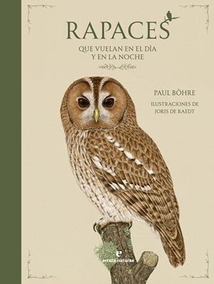 RAPACES QUE VUELAN EN EL DÍA Y EN LA NOCHE | 9791387597047 | BÖHRE, PAUL | Llibreria La Gralla | Librería online de Granollers