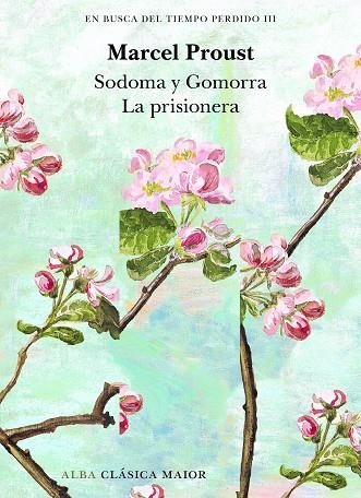 EN BUSCA DEL TIEMPO PERDIDO III | 9788411781602 | PROUST, MARCEL | Llibreria La Gralla | Librería online de Granollers