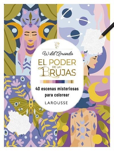 PODER DE LAS BRUJAS, EL | 9791387520267 | AMANDA, WILD | Llibreria La Gralla | Llibreria online de Granollers