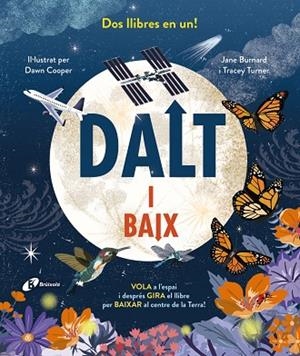 DALT I BAIX | 9788413494746 | TURNER, TRACY ;  BURNARD, JANE | Llibreria La Gralla | Librería online de Granollers