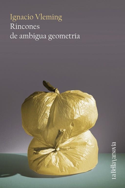RINCONES DE AMBIGUA GEOMETRÍA | 9788433929402 | VLEMING, IGNACIO | Llibreria La Gralla | Llibreria online de Granollers