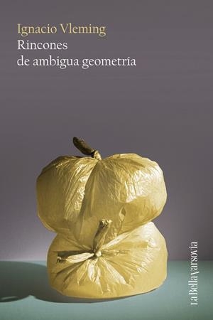 RINCONES DE AMBIGUA GEOMETRÍA | 9788433929402 | VLEMING, IGNACIO | Llibreria La Gralla | Librería online de Granollers