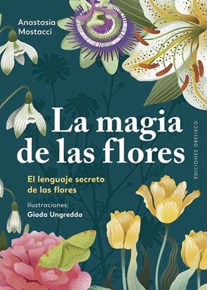MAGIA DE LAS FLORES, LA | 9788411722544 | MOSTACCI, ANASTASIA | Llibreria La Gralla | Librería online de Granollers