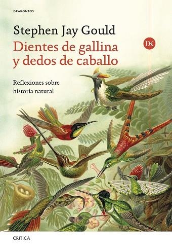 DIENTES DE GALLINA Y DEDOS DE CABALLO | 9788491997849 | GOULD, STEPHEN JAY | Llibreria La Gralla | Librería online de Granollers