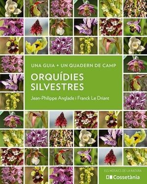 ORQUÍDIES SILVESTRES | 9788413564920 | ANGLADE, JEAN-PHILIPPE / LE DRIANT, FRANCK | Llibreria La Gralla | Librería online de Granollers