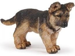 PASTOR ALEMANY CRIA | 3465000540395 | VVAA | Llibreria La Gralla | Llibreria online de Granollers