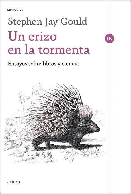 ERIZO EN LA TORMENTA, UN | 9788491997641 | GOULD, STEPHEN JAY | Llibreria La Gralla | Llibreria online de Granollers