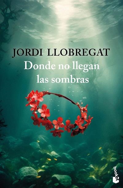 DONDE NO LLEGAN LAS SOMBRAS | 9788423367986 | LLOBREGAT, JORDI | Llibreria La Gralla | Llibreria online de Granollers