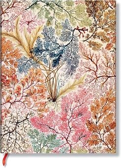 LLIBRETA PAPERBLANKS MIDI LLIS ANEMONE | 9781439799055 | PB FB9905-5 | Llibreria La Gralla | Llibreria online de Granollers