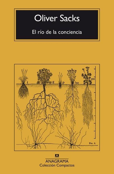 RÍO DE LA CONCIENCIA, EL | 9788433946867 | SACKS, OLIVER | Llibreria La Gralla | Llibreria online de Granollers
