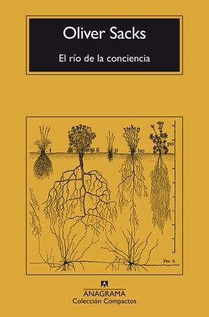 RÍO DE LA CONCIENCIA, EL | 9788433946867 | SACKS, OLIVER | Llibreria La Gralla | Llibreria online de Granollers
