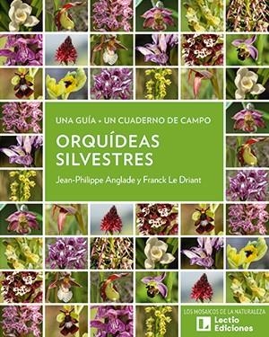ORQUÍDEAS SILVESTRES | 9788418735813 | ANGLADE, JEAN-PHILIPPE ;  LE DRIANT, FRANCK | Llibreria La Gralla | Librería online de Granollers
