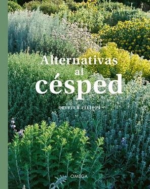 ALTERNATIVAS AL CESPED | 9788428217842 | OLIVIER FILIPPI | Llibreria La Gralla | Llibreria online de Granollers