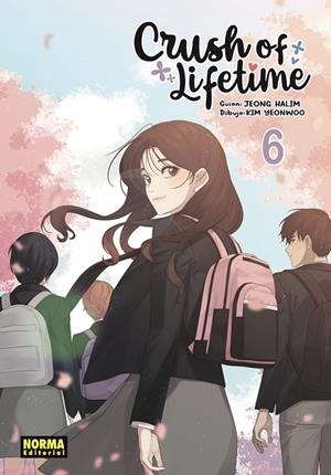 CRUSH OF LIFETIME 06 | 9788467972825 | JEONG, HALIM / KIM, YEONWOO | Llibreria La Gralla | Llibreria online de Granollers