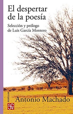 DESPERTAR DE LA POESÍA, EL | 9786071666192 | MACHADO, ANTONIO | Llibreria La Gralla | Llibreria online de Granollers