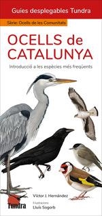 OCELLS DE CATALUNYA (CAT) | 9788419624864 | VICTOR J HERNANDEZ | Llibreria La Gralla | Llibreria online de Granollers