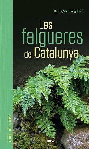 FALGUERES DE CATALUNYA, LES | 9791387701017 | SÁEZ GONYALONS, LLORENÇ | Llibreria La Gralla | Librería online de Granollers