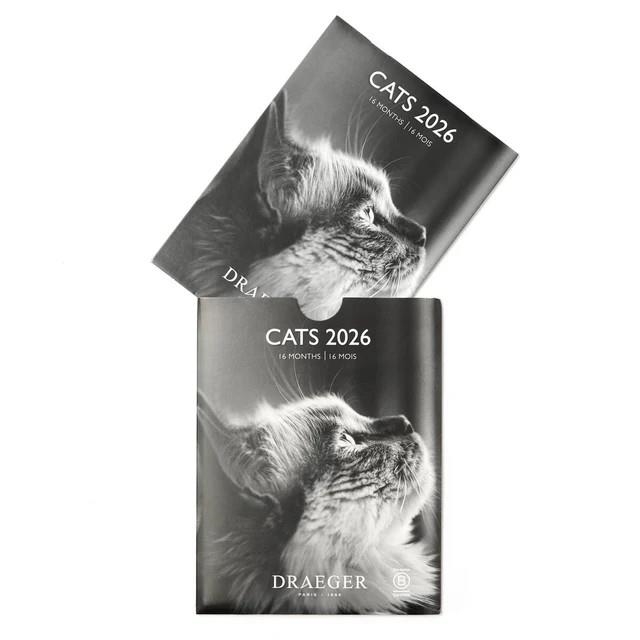 CALENDARI 2026 CATS 13*148 2026. 16 MESOS | 3045671136273 | DRAEGER | Llibreria La Gralla | Librería online de Granollers