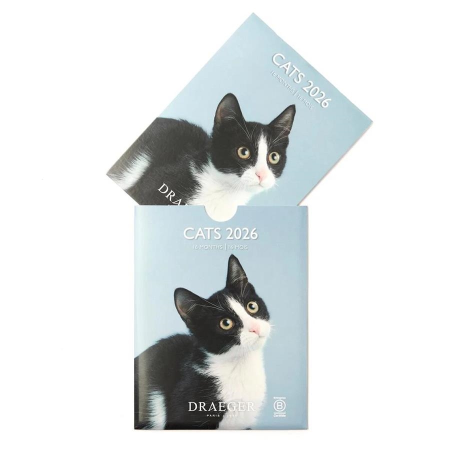 CALENDARI 2026 CATS 13*18 2026. 16 MESOS | 3045671136259 | DRAEGER | Llibreria La Gralla | Librería online de Granollers