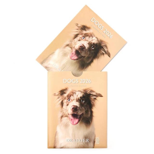 CALENDARI 2026 DOGS 13*18. 16 MESOS | 3045671136266 | DRAEGER | Llibreria La Gralla | Librería online de Granollers