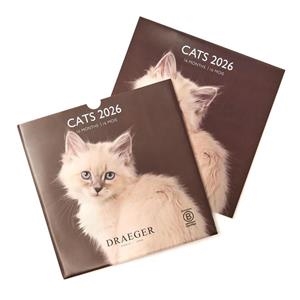 CALENDARI 20256 CATS 29*29. 16 MESOS | 3045671136334 | DRAEGER | Llibreria La Gralla | Llibreria online de Granollers