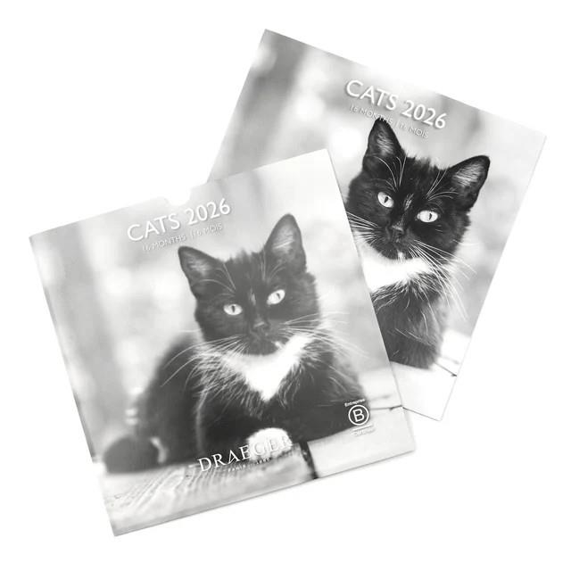 CALENDARI 2026 CATS 29*29. 16 MESOS | 3045671136365 | DRAEGER | Llibreria La Gralla | Librería online de Granollers