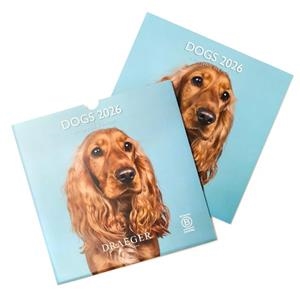 CALENDARI 2026 DOGS 29*29. 16 MESOS | 3045671136341 | DRAEGER | Llibreria La Gralla | Llibreria online de Granollers