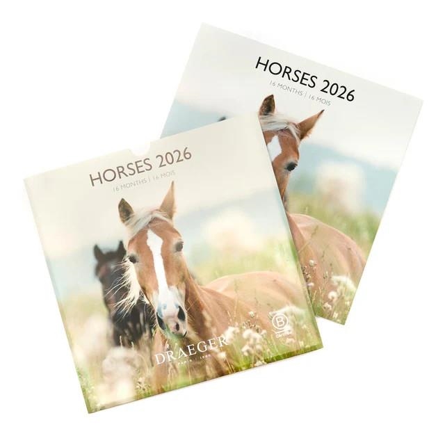 CALENDARI 2026 HORSES 29*29. 16 MESOS | 3045671136358 | DRAEGER | Llibreria La Gralla | Librería online de Granollers