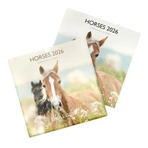 CALENDARI 2026 HORSES 29*29. 16 MESOS | 3045671136358 | DRAEGER | Llibreria La Gralla | Llibreria online de Granollers