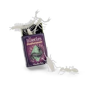 5 INSECTES FLUORESCENTS LES PETITES MERVEILLES | 3575677113935 | MOULIN ROTY | Llibreria La Gralla | Llibreria online de Granollers