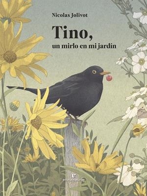 TINO, UN MIRLO EN MI JARDÍN | 9791387597160 | JOLIVOT, NICOLAS | Llibreria La Gralla | Librería online de Granollers