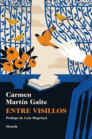 ENTRE VISILLOS | 9788410415317 | MARTÍN GAITE, CARMEN | Llibreria La Gralla | Librería online de Granollers