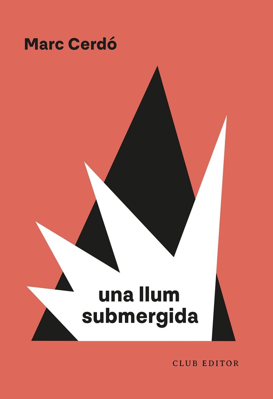 UNA LLUM SUBMERGIDA | 9788473294751 | CERDÓ, MARC | Llibreria La Gralla | Librería online de Granollers