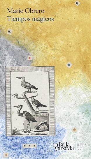 TIEMPOS MAGICOS | 9788433922946 | OBRERO, MARIO | Llibreria La Gralla | Llibreria online de Granollers