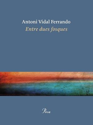 ENTRE DUES FOSQUES | 9788410488434 | VIDAL FERRANDO, ANTONI | Llibreria La Gralla | Librería online de Granollers