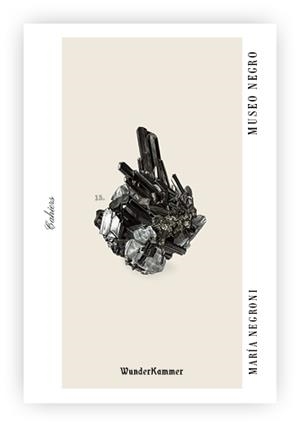 MUSEO NEGRO | 9788412743142 | NEGRONI, MARÍA | Llibreria La Gralla | Librería online de Granollers